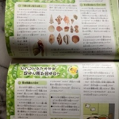 ふしぎのお話　セブンイレブン野口町店まで取りに来て下さる方の画像