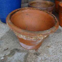 植木鉢　13個　差し上げます（取引条件あり）の画像