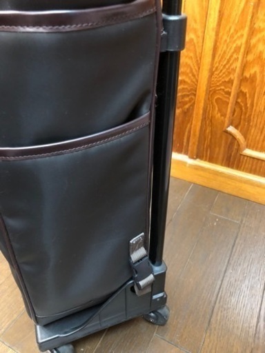 スワニー　ショッピングカート