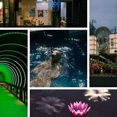 写真を見せ合う会（仮）に参加しませんか？ - 茨木市