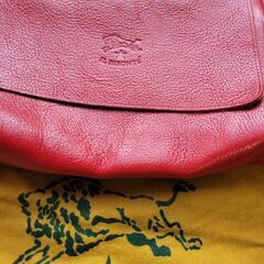 IL BISONTEの画像