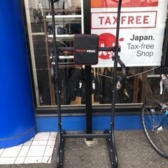 PYKES PEAKぶら下がり健康器具