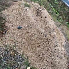 真砂土？？　園芸用？
