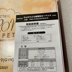 【お譲り先決定】電気カーペット　ごろ寝の画像