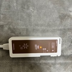 【お譲り先決定】電気カーペット　ごろ寝の画像