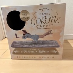 【お譲り先決定】電気カーペット　ごろ寝の画像