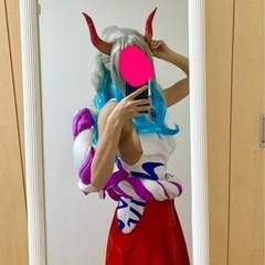 ONE PIECE ヤマト　コスプレセット　※ウィッグ付き