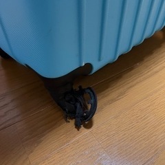 大型キャリー 難アリの画像