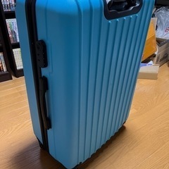 大型キャリー 難アリの画像