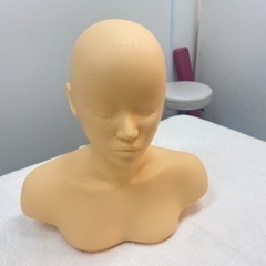 デコルテマネキン（マッサージ練習用　経穴付き）