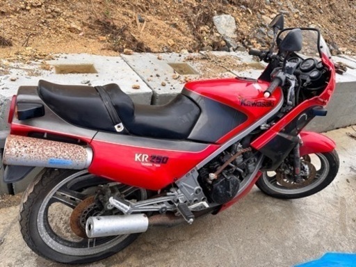 Kawasaki カワサキ 川崎　KR250