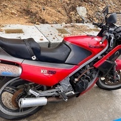 Kawasaki カワサキ 川崎　KR250