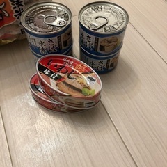 サバ缶　イワシ缶