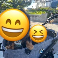 エアバギーBMWコラボお値段変更