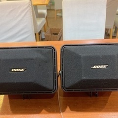 bose 101mm