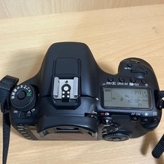 Canon eos7dmark2  望遠レンズセットもできます。お話し中 レンタル] キャノン Canon EOS 7D Mark II 望遠レンズセット