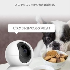 「見守りカメラ」で安心を手にしませんか？？の画像