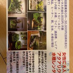 アクアリウム、メンテナンスなど手伝ってくれる方募集