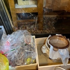 生活雑貨 食器 コップ、グラス