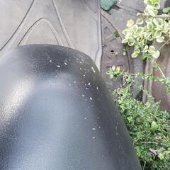 アクシス　トリート　125ccの画像