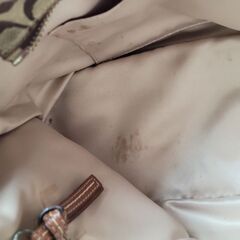 COACHの画像