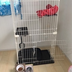 キャットゲージ
