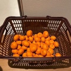 受付終了〜決定しました！みかん