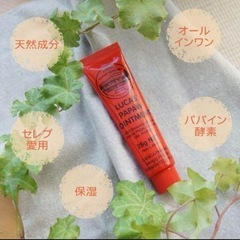 ルーカス　ポーポークリームの画像