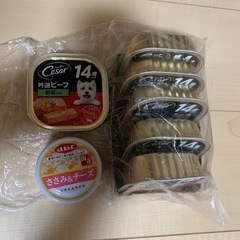 ワンちゃんの餌