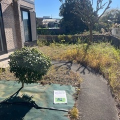 人工芝で雑草駆除や芝刈りの負担を減らしませんか😊✨ - 地元のお店