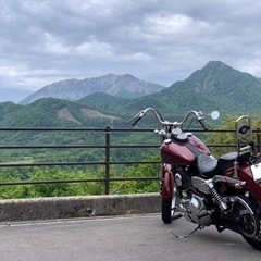 岡山県 2002年式 TC88 FXDL1450 キャブ車 ダイナローライダーの画像