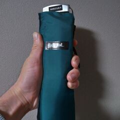 折り畳み傘（お話中）の画像