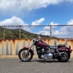 岡山県 2002年式 TC88 FXDL1450 キャブ車 ダイナローライダーの画像