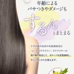 ★新品・未開封★ シンスボーテ ヘアオイル 50mLの画像
