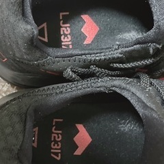 【決定】NIKE LEBRON 17 LOW (26.5cm) 黒赤 CD5007-001 の画像