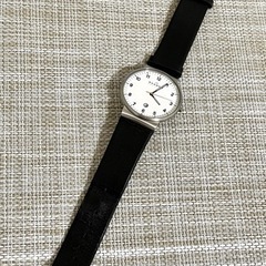[美品/稼働品]スカーゲン SKAGEN Denmark /SKW6024/リストウォッチ/デイト/ラウンドフェイス/腕時計の画像