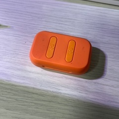 スカルキャンディ イヤホン