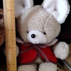 クマさん, タイガー, ほか☘の画像
