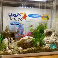 水槽セットの画像