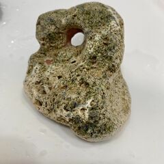 水槽セットの画像