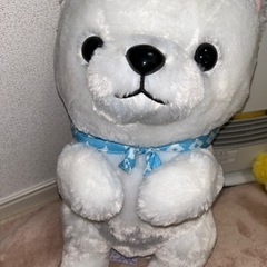 🧸豆柴ビックぬいぐるみ (おねだりポーズ)の画像