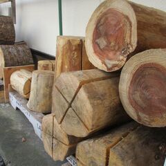 ■【完売】多数ご来宅ありがとうございました。3/3  : 丸太・杉 ＆ スウェーデントーチの画像