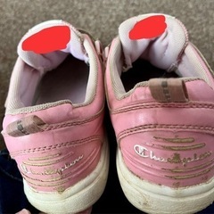 Champion スニーカー21cmの画像