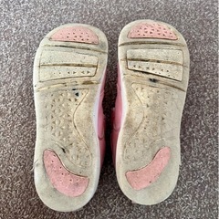 Champion スニーカー21cmの画像