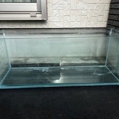 コトブキ90cm水槽の画像