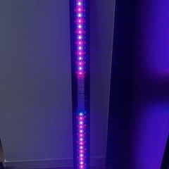 コトブキ90cm水槽の画像