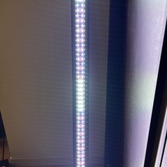 コトブキ90cm水槽の画像