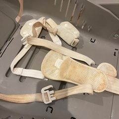 電動バウンサーの画像