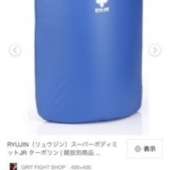 空手ボディミットの画像