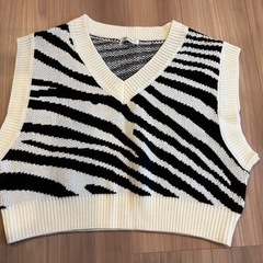 【美品】INGNI(イング) ゼブラ柄ニットベストMの画像